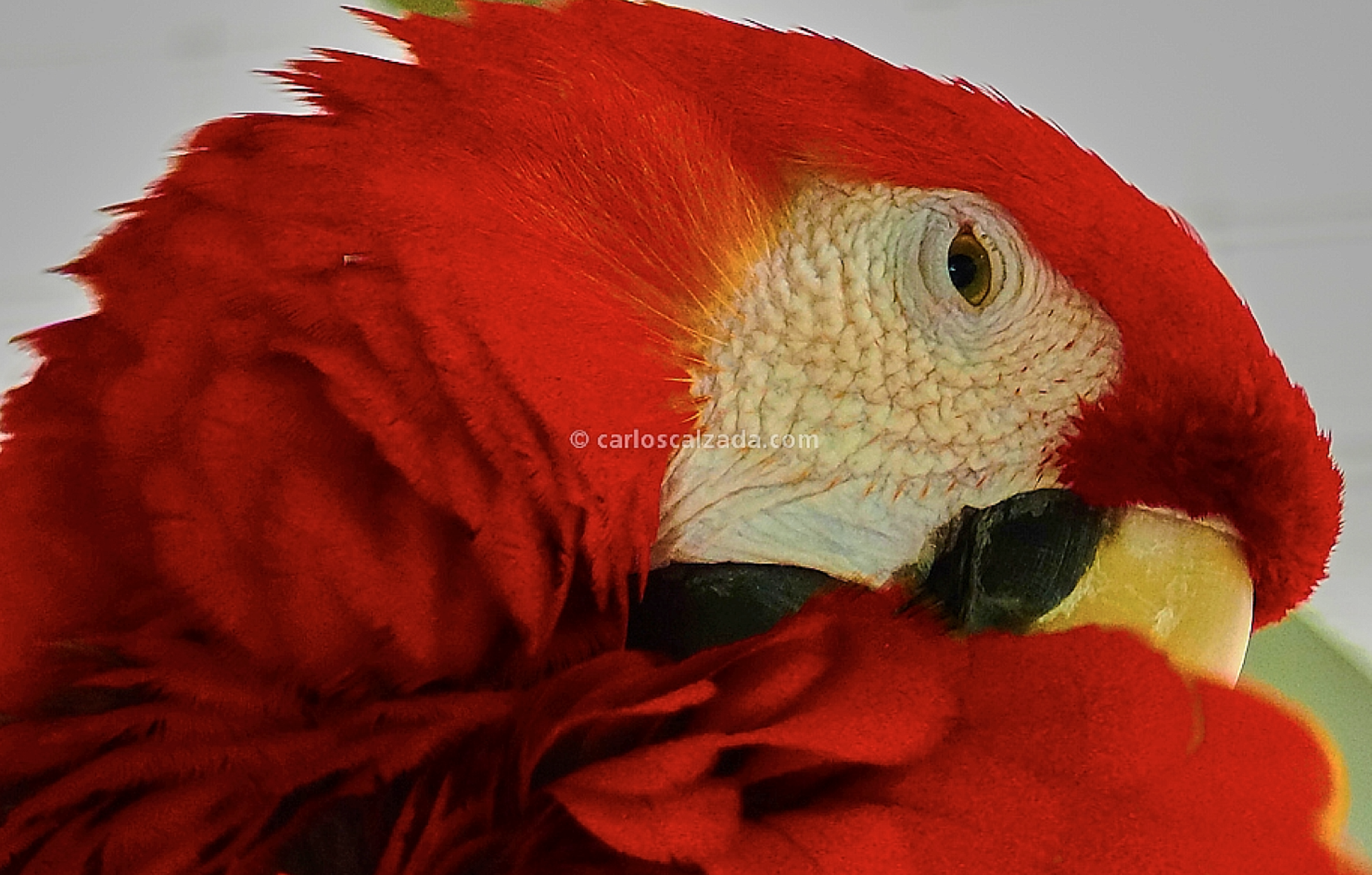 Captura de pantalla 2024-05-01 205128.png